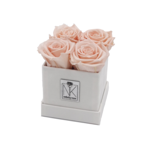 Rosenbox S / Weiß-Porcelain