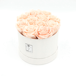 Vintage_L_PorcelainPink