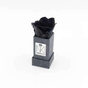 InfinityRosenboxXS_Schwarz_BlackBeauty