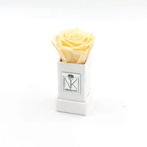 InfinityRosenboxXS_Weiß_Champagner
