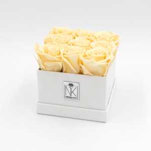 RosenboxM-Weiß-Champagner