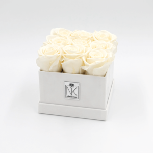 RosenboxM-Weiß-PearlWhite